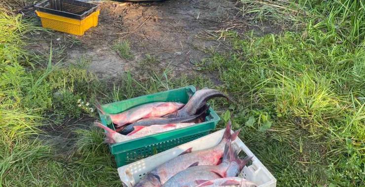 Фото новини