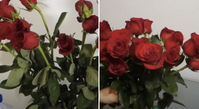 Фото новини