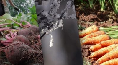 Фото новини