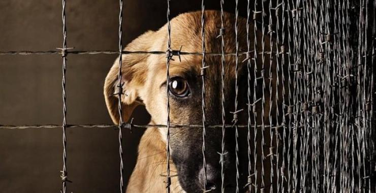 Фото новини