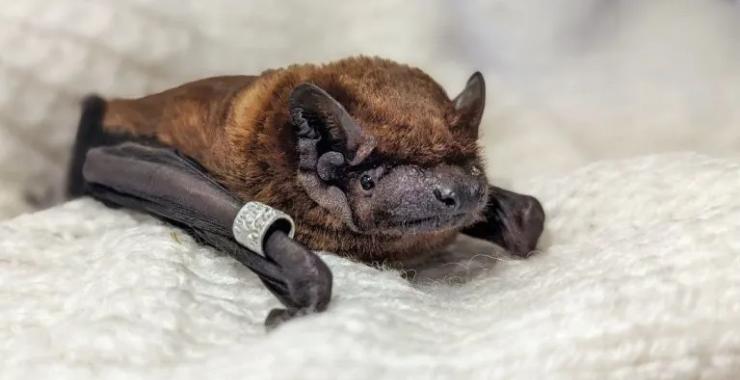 Фото новини