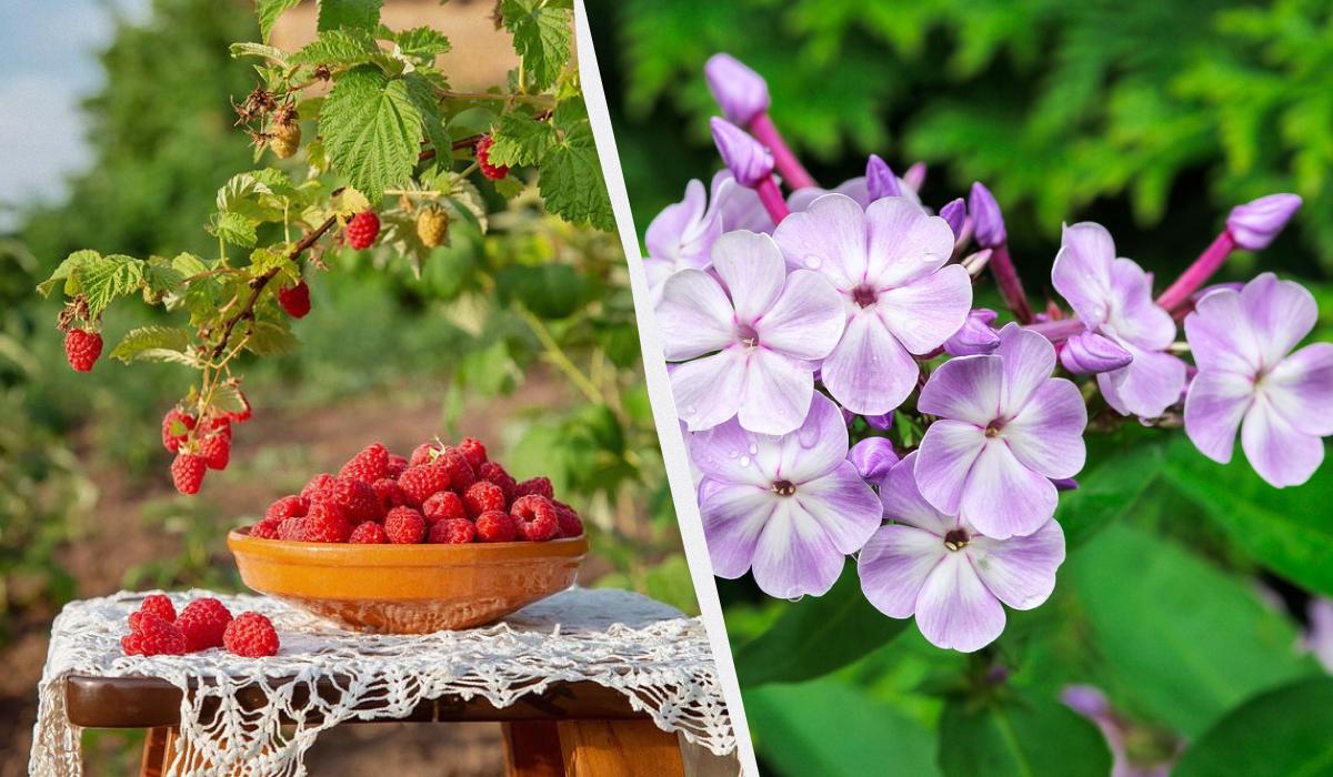 Фото новини