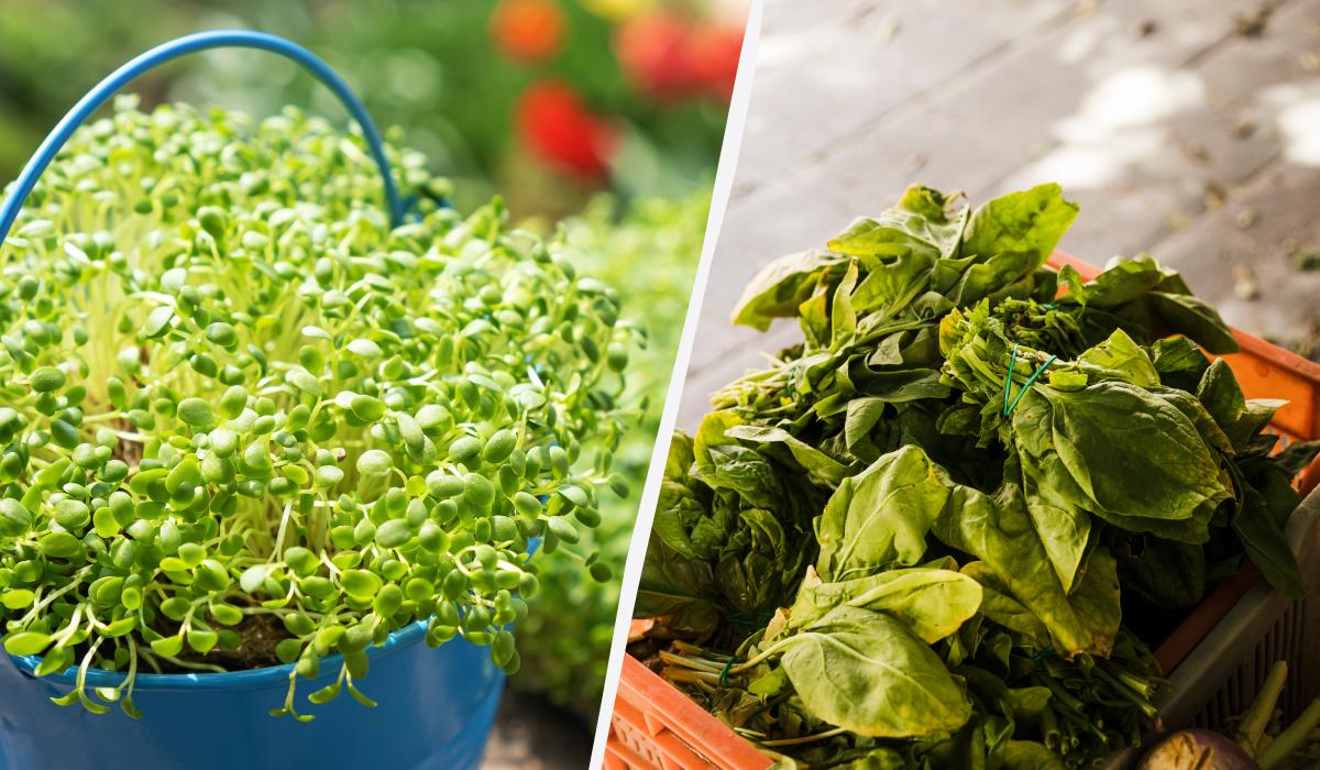 Фото новини