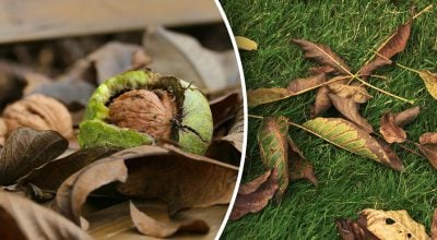 Фото новини