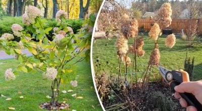 Фото новини