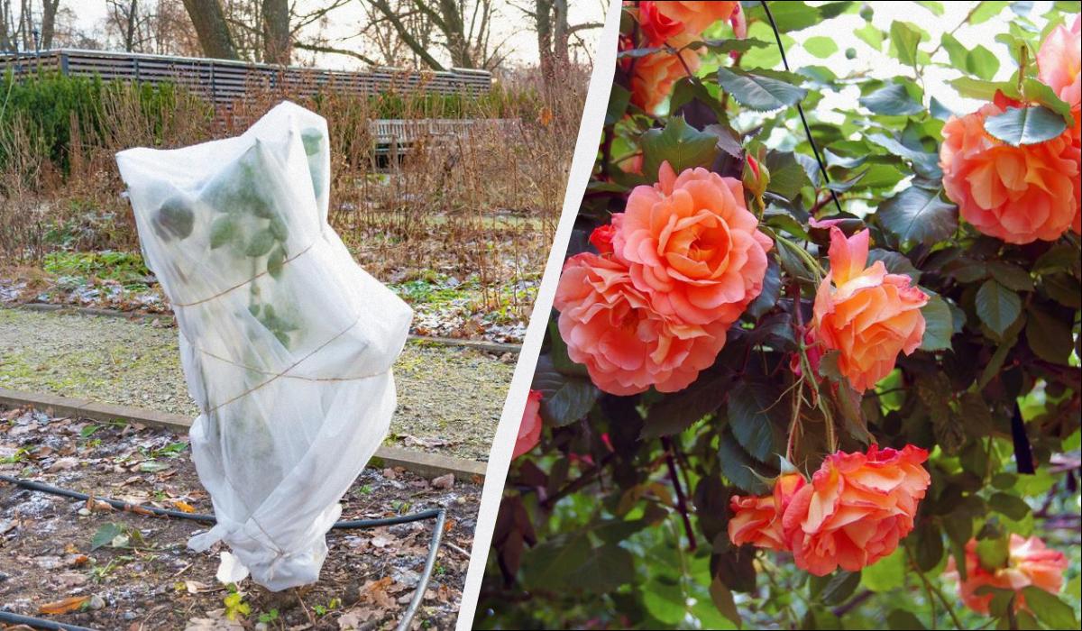 Фото новини