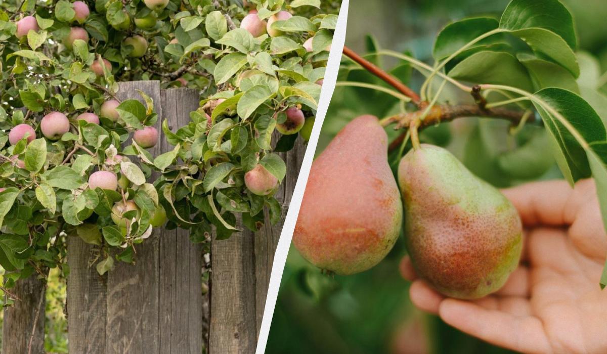 Фото новини