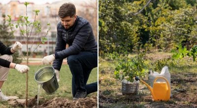 Фото новини