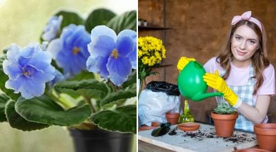 Фото новини