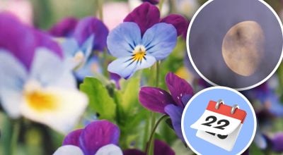 Фото новини