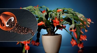 Фото новини