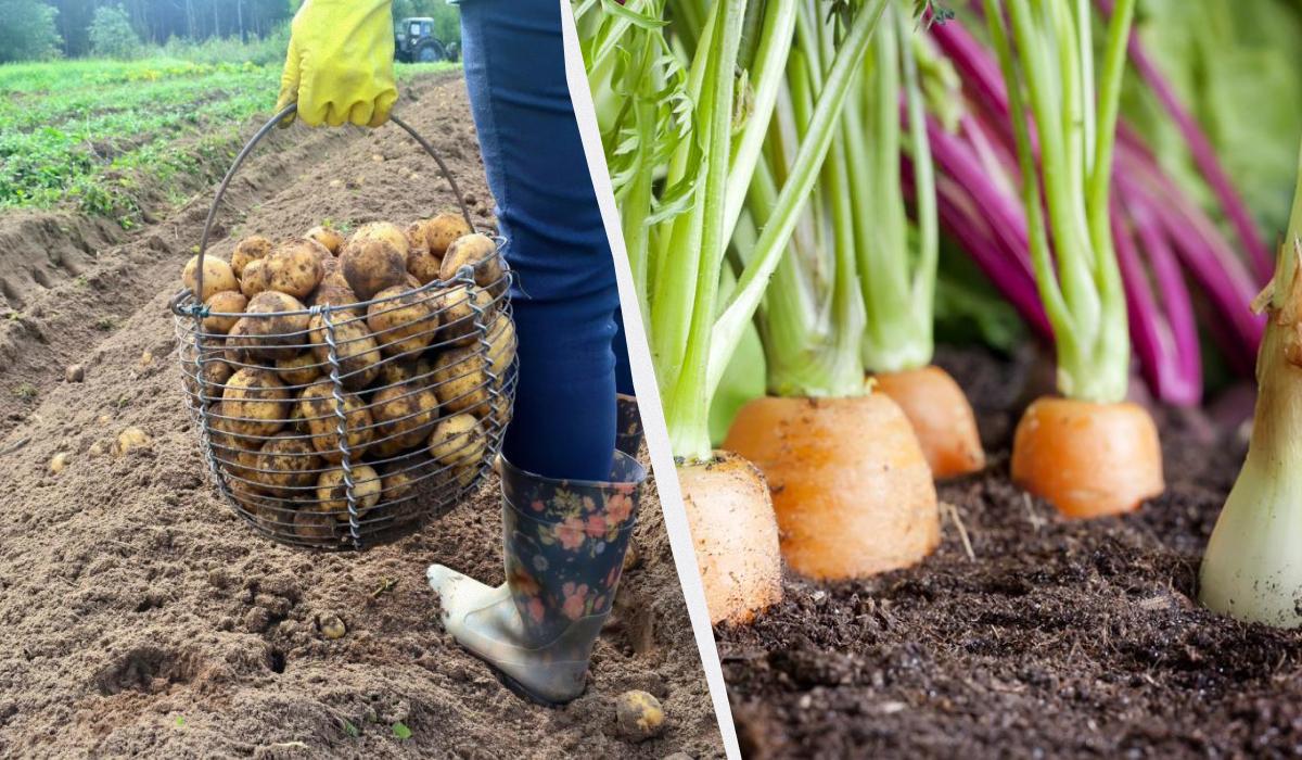 Фото новини