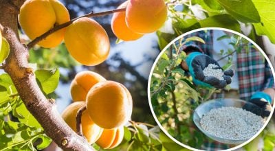 Фото новини