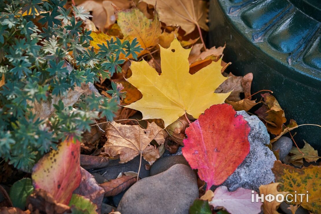 Фото новини