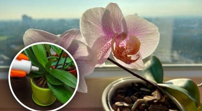 Фото новини