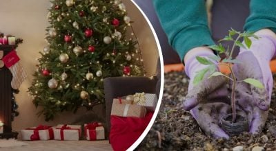 Фото новини