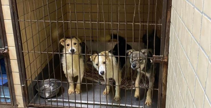 Фото новини