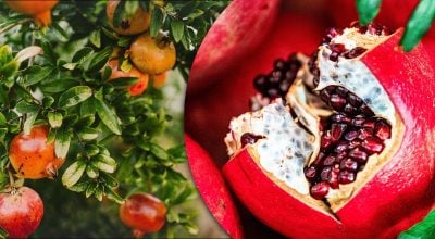 Фото новини