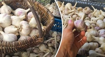 Фото новини