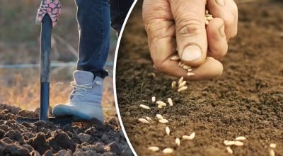 Фото новини