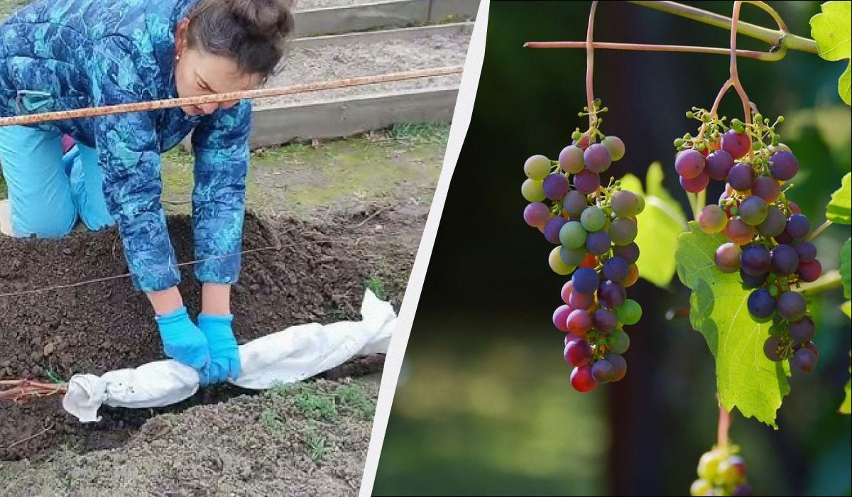 Фото новини