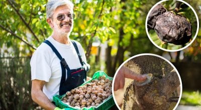 Фото новини