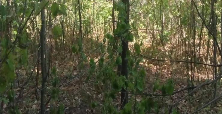 Фото новини