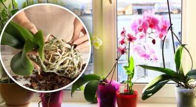 Фото новини