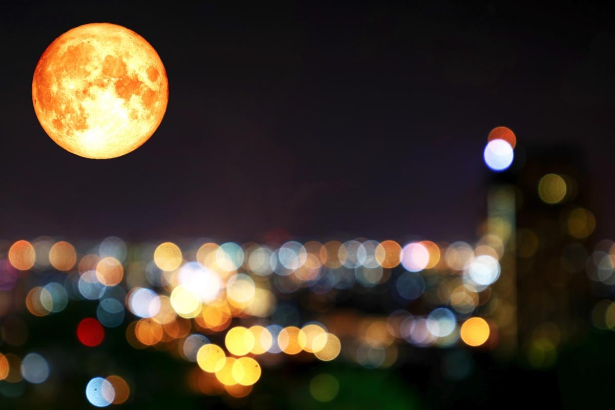 Фото новини