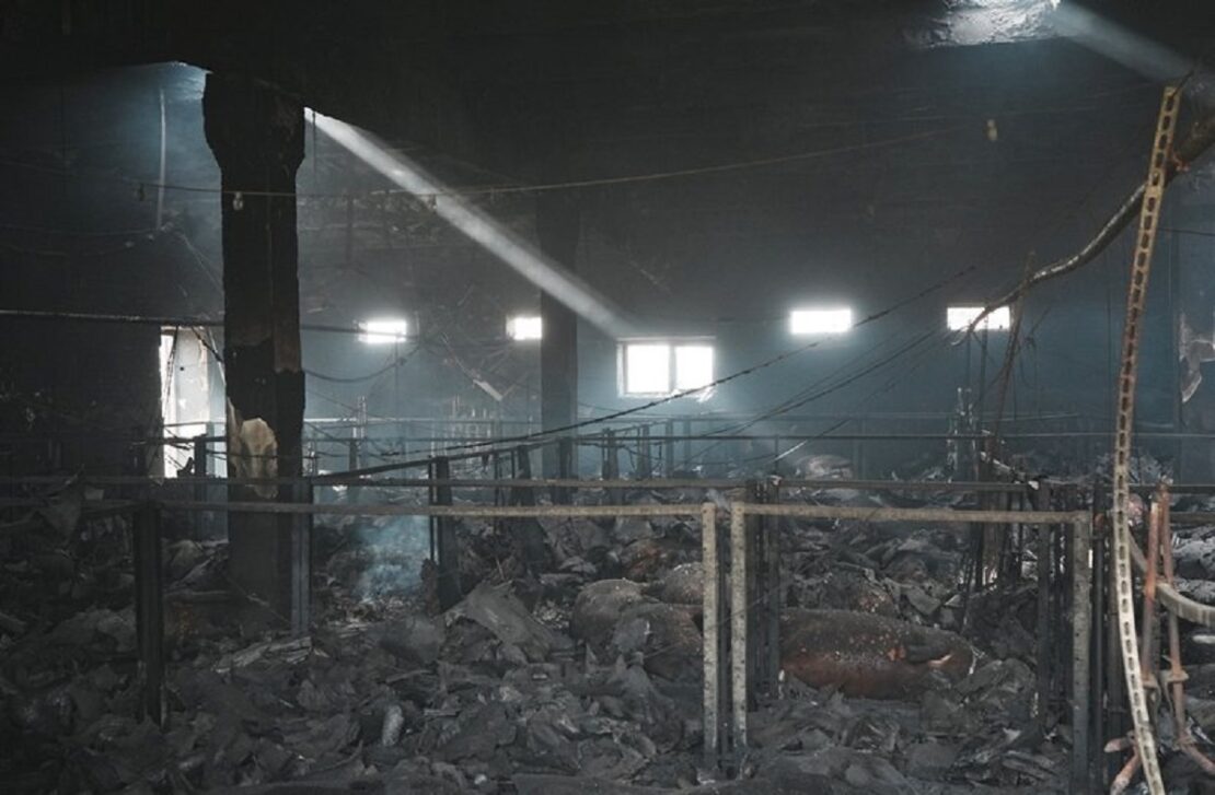 Фото новини