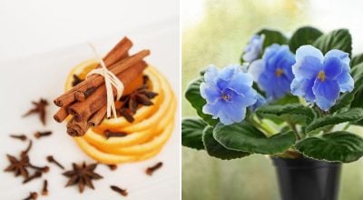 Фото новини