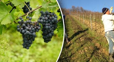 Фото новини