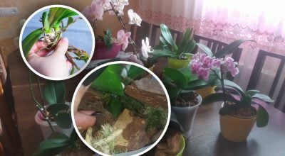 Фото новини