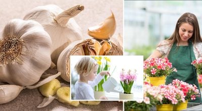 Фото новини