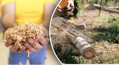 Фото новини