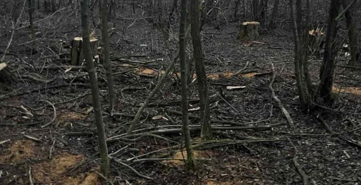 Головна новина