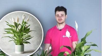 Фото новини