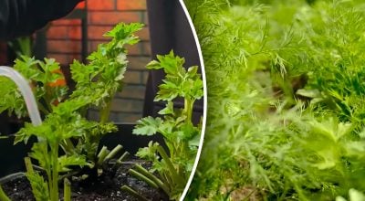 Фото новини