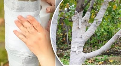 Фото новини