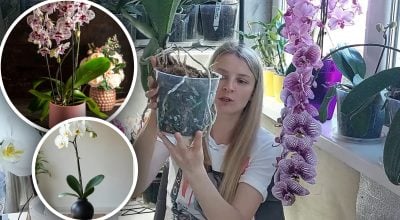 Фото новини