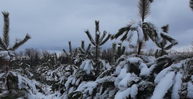 Фото новини