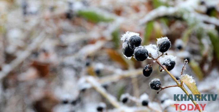 Фото новини