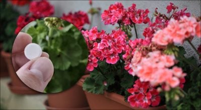 Фото новини