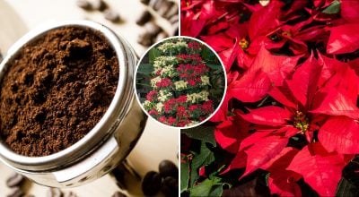 Фото новини