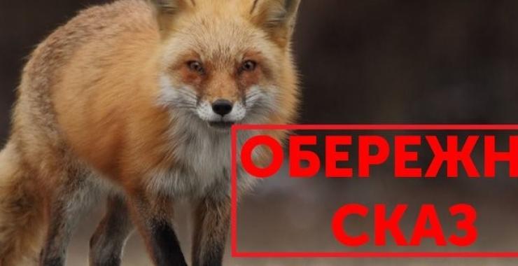 Фото новини