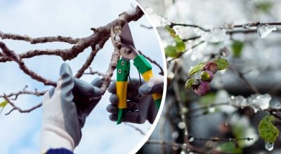 Фото новини