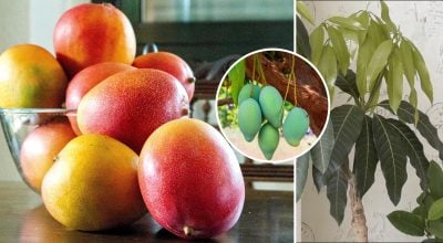 Фото новини