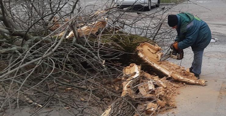 Фото новини