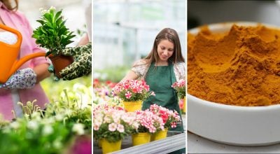 Фото новини