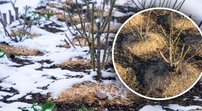 Фото новини